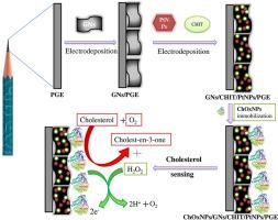 An improved amperometric cholesterol biosensor based on cholesterol oxidase nanostructures for pre-diagnosis of myocardial infarction