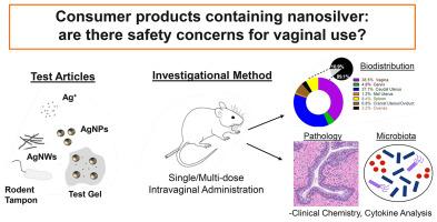 Biodistribution and toxic potential of silver nanoparticles when introduced to the female rat reproductive tract