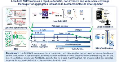 Low-field NMR Works as a Rapid, Automatic, Non-Invasive and Wide-Scale Coverage Technique for Aggregates Indication in Biomacromolecule Development