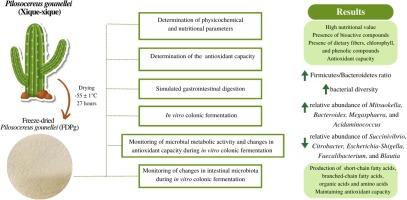 Integrative investigation of the potential impacts of Pilosocereus gounellei (A. Weber ex K. Schum. Bly. Ex Rowl) cladodes on the human intestinal microbiota