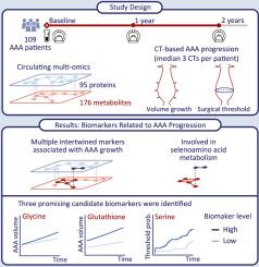 Targeted plasma multi-omics propose glutathione, glycine and serine as biomarkers for abdominal aortic aneurysm growth on serial CT scanning