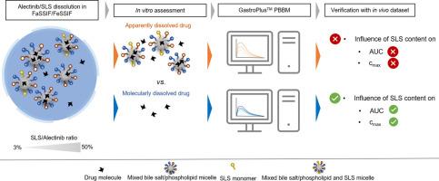 Oral Absorption from Surfactant-Based Drug Formulations: The Impact of Molecularly Dissolved Drug on Bioavailability