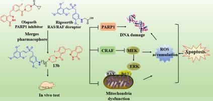 Discovery of dual-targeted molecules based on Olaparib and Rigosertib for triple-negative breast cancer with wild-type BRCA