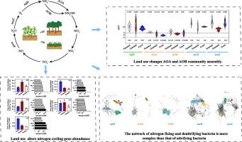 Returning farmland to forests and grasslands promotes soil quality restoration in Northeast China: Evidence from soil nitrogen cycle