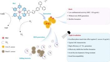 AIE-based ruthenium complexes as photosensitizers for specifically photo-inactivate gram-positive bacteria