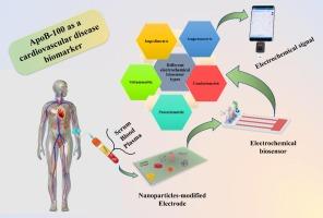 The role of electrochemical biosensors in monitoring Apolipoprotein B-100 as a diagnostic tool for cardiovascular disease