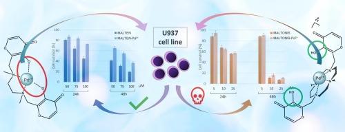 Two bis-maltol-polyamines: Synthesis, characterization and studies of their palladium(II) complexes exploring their potential anticancer activity