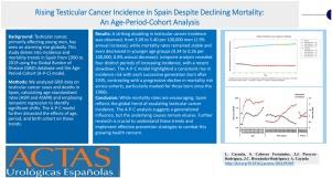 Rising testicular cancer incidence in Spain despite declining mortality: an age-period-cohort analysis