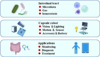 Capsule robots for the monitoring, diagnosis, and treatment of intestinal diseases