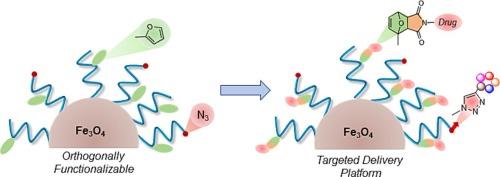 ‘Clickable’ polymer brush coated magnetic nanoparticles: Employing Diels-Alder and azide-alkyne cycloaddition for modular targeted drug delivery platforms