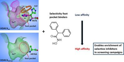 The pivotal role of histidine 976 in human histone deacetylase 4 for enzyme function and ligand recognition