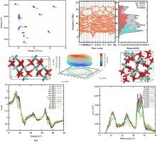 Density functional theory analysis of novel ZrO2 polymorphs: Unveiling structural stability, electronic structure, vibrational and optical properties