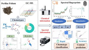 Rapid discrimination and quantification of chemotypes in Perillae folium using FT-NIR spectroscopy and GC–MS combined with chemometrics