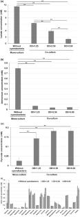 Recombinant lactate-assimilating cyanobacteria reduce high-concentration culture-associated cytotoxicity in mammalian cells