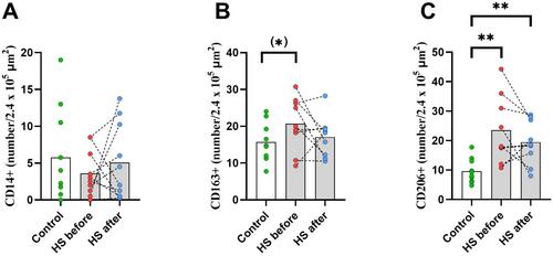 Adalimumab Treatment Effects on Inflammation and Adipose Tissue Mitochondrial Respiration in Hidradenitis Suppurativa