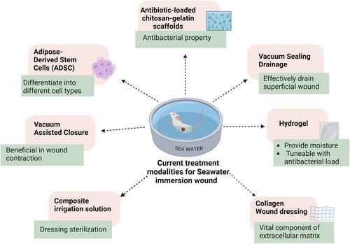 Advancements in seawater immersion wound management: Current treatments and innovations