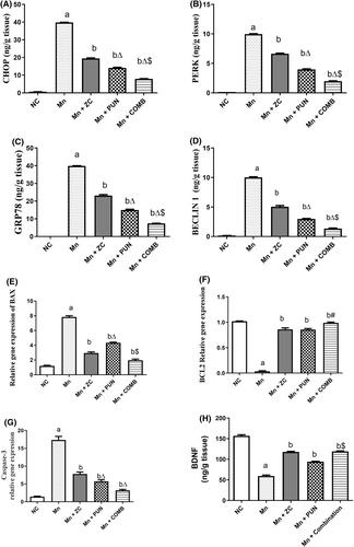 Neuroprotective effects of punicalagin and/or micronized zeolite clinoptilolite on manganese-induced Parkinson's disease in a rat model: Involvement of multiple pathways