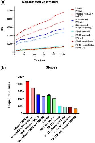 Phloem sap from melon plants contains extracellular vesicles that carry active proteasomes which increase in response to aphid infestation