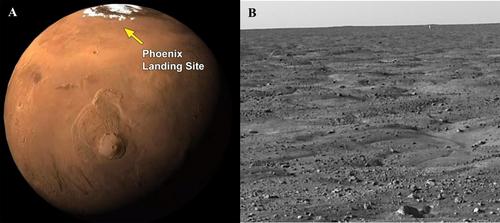 Organic Carbon and Ca-Rich Carbonate Detections in Soils of the Northern Plains, Mars: Evaluation of Unreported Data From the Mars Phoenix Scout's Thermal Evolved Gas Analyzer (TEGA)