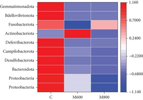 Effect of Fermentation by Penicillium nalgiovense and Geotrichum candidum on the Flavor Characteristics and Microbial Community Structure of Mianning Hams