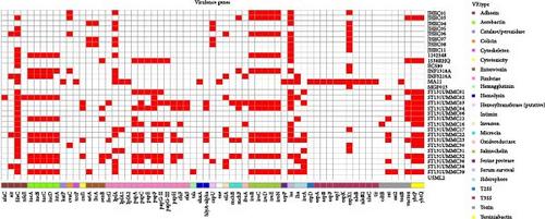 Plasmid-Mediated Co-Occurrence of mcr-1.1 in Extended-Spectrum β-Lactamase (ESBL)-Producing Escherichia coli Isolated From the Indigenous Seminomadic Community in Malaysia