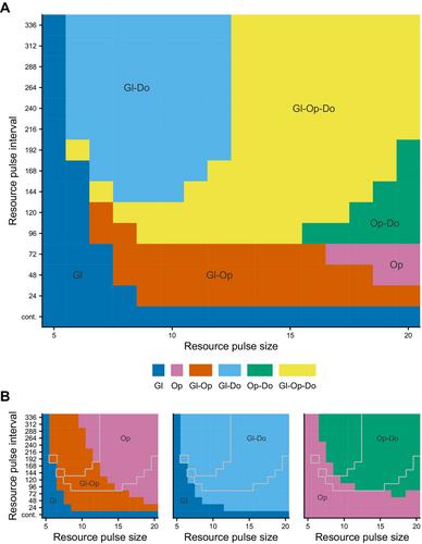 Microbial Dormancy Supports Multi-Species Coexistence Under Resource Fluctuations