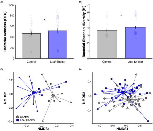 Leaf Shelters Facilitate the Colonisation of Arthropods and Enhance Microbial Diversity on Plants