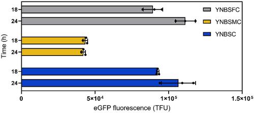 Formate from THF-C1 metabolism induces the AOX1 promoter in formate dehydrogenase-deficient Komagataella phaffii