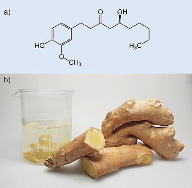 Können Ingwer und Zink das Immunsystem unterstützen?