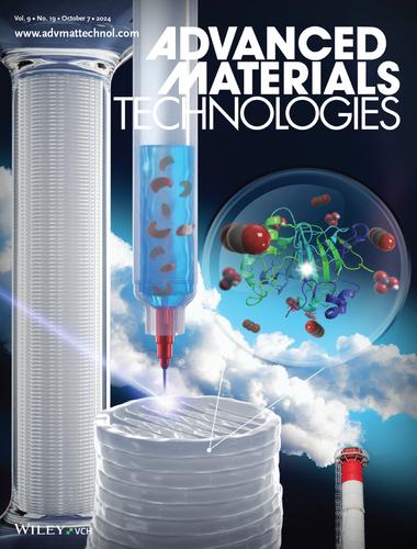 3D-Printed Hydrogel Filter for Biocatalytic CO2 Capture (Adv. Mater. Technol. 19/2024)