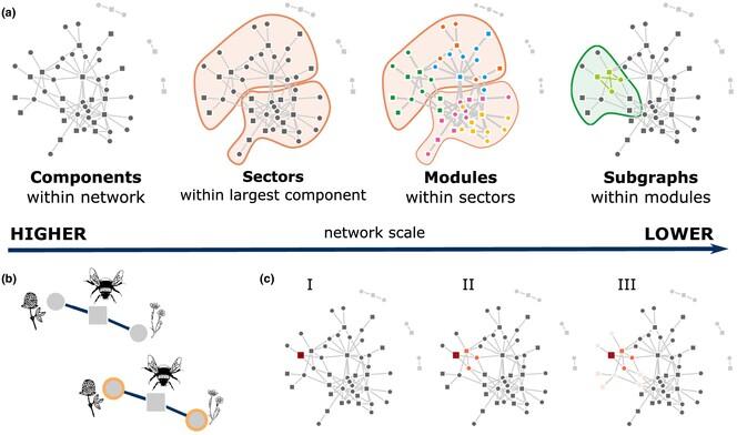 The Hierarchical Coevolutionary Units of Ecological Networks