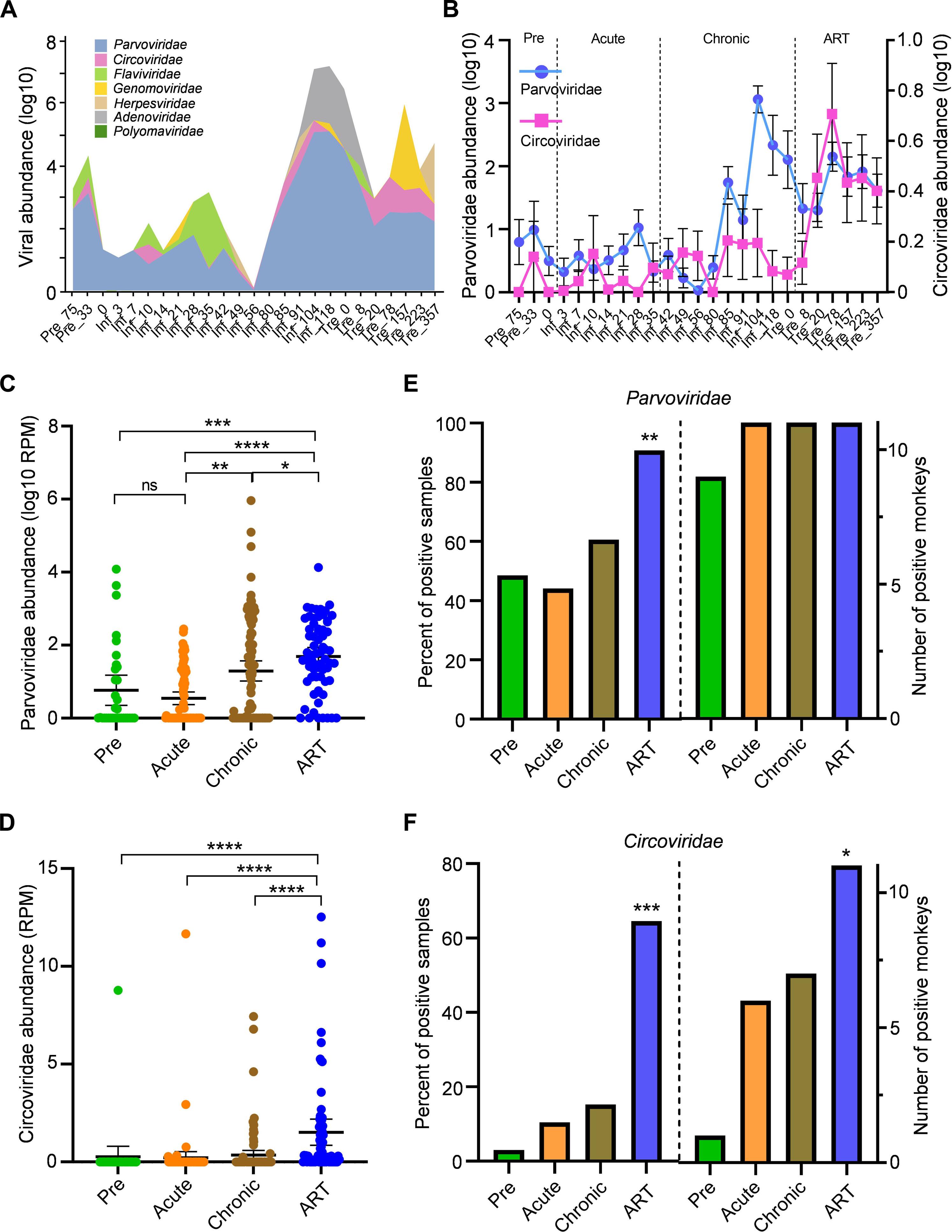 Large expansion of plasma commensal viruses is associated with SIV pathogenesis in Macaca leonina