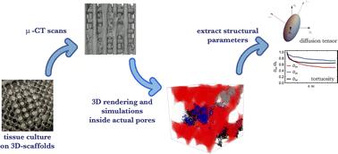 Abstract Image