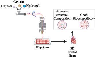 3D and 4D printed materials for cardiac transplantation: Advances in biogenerative engineering