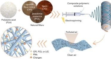 Stable and reusable electrospun bio-composite fibrous membranes based on PLA and natural fillers for air filtration applications