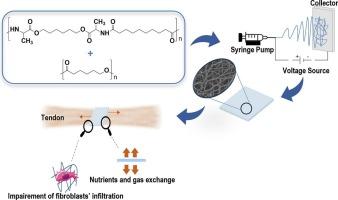 Electrospun mats from α-amino acid based poly(ester amide)s: A promising material for the prevention of tendon adhesions