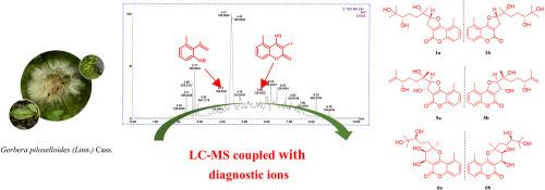 LC–MS coupled with diagnostic ion strategy facilitated the discovery of 5-methylcoumarin meroterpenoids from Gerbera piloselloides