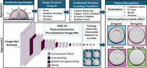 Pattern recognition of drying lysozyme–glucose droplets using machine learning classifiers