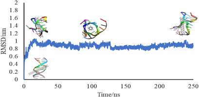 Unwinding DNA strands by single-walled carbon nanotubes: Molecular docking and MD simulation approach