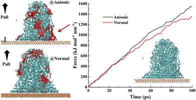 Adsorption dynamics of heavy oil droplets on silica: Effect of asphaltene anionic carboxylic