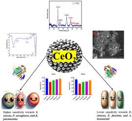 Phyto-mediated fabrication of cerium oxide nanoparticles using Mollugo oppositifolia L aqueous leaf extract: Antibacterial, antitonicity, and molecular docking studies