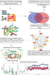 In silico identification and virtual screening to discover potent therapeutic phytochemicals against CMT2A