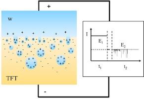 Generation-fusion strategy in metal-earth ionosome investigation using single-entity electrochemistry at the micro-water/trifluorotoluene interface