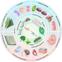 Natural biomaterials for sustainable flexible neuromorphic devices