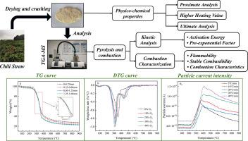 Investigation of pyrolysis and combustion characteristics of chili straw waste with different O2/N2 ratios and heating rates