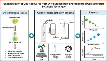 Encapsulation of oils recovered from olive stones using particles from gas saturated solutions technique