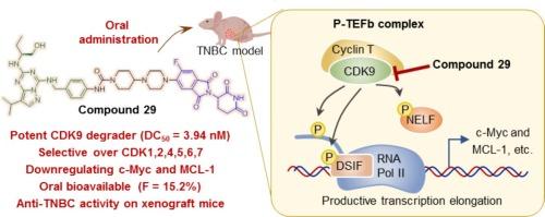 Discovery of a Potent, selective and orally bioavailable CDK9 degrader for targeting transcription regulation in Triple-Negative breast cancer