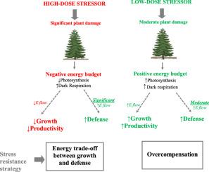 Plant hormesis: The energy aspect of low and high-dose stresses