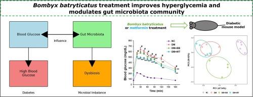 Effects of Bombyx batryticatus extract on hyperglycemia and gut microbiota in diabetic mice induced by streptozotocin and high-fat diet