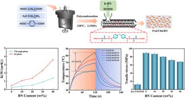 Reactive extrusion for efficient preparation of high temperature resistant PA6T/66/BN composites with great thermal management and mechanical properties